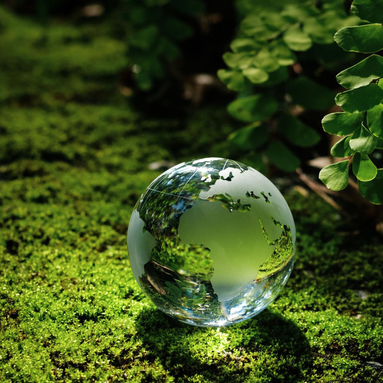 Découverte de l'hôtel Kyriad Tours Sud